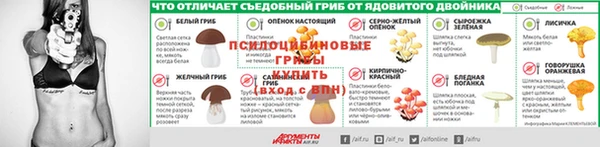 мяу мяу мука Аркадак