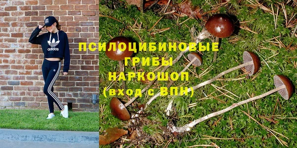 мяу мяу мука Аркадак